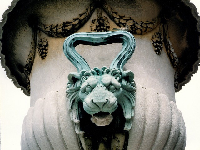 Lion on Low Fountains