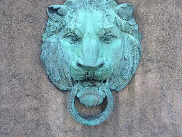 Lion outside Butler