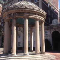 Lions on Van Am Quad