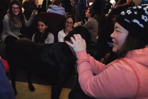 During fall finals, Residential Life supported students with the 5th Annual Puppy Study Break. This popular event, held in John Jay Lounge, provides students a break from studying and offers crafts, Stressbusters massages and Pet Partners therapy dogs to play with.