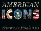 American Icons, the book cover