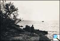 Photo of Lax in Greece, alone by the shore