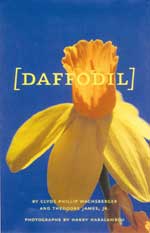 Daffodil