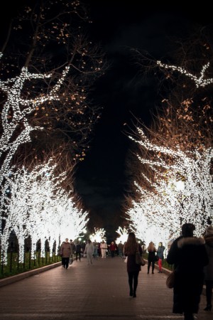Tree Lighting 2015. Photo: Kelly Chan BC’17