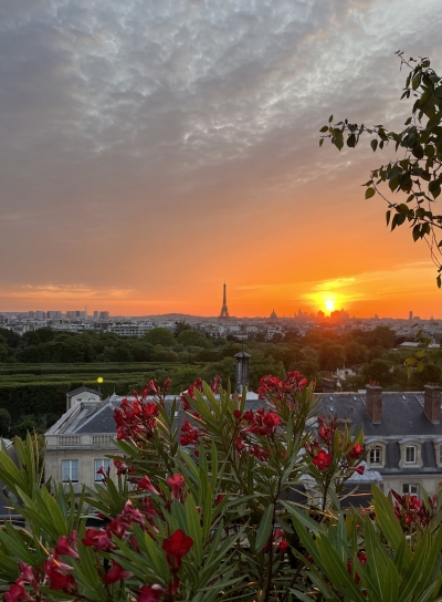 The Parisian skyline at sunset--flowers are in the foreground and the Eiffel Tower is in the distance with an orange setting sun near it