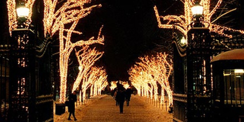 college walk at night, after tree lighting