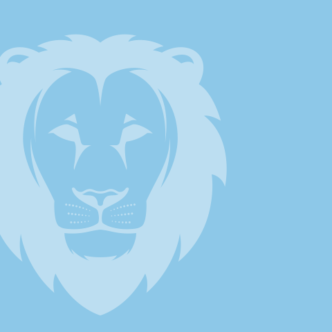 default ccaa lion