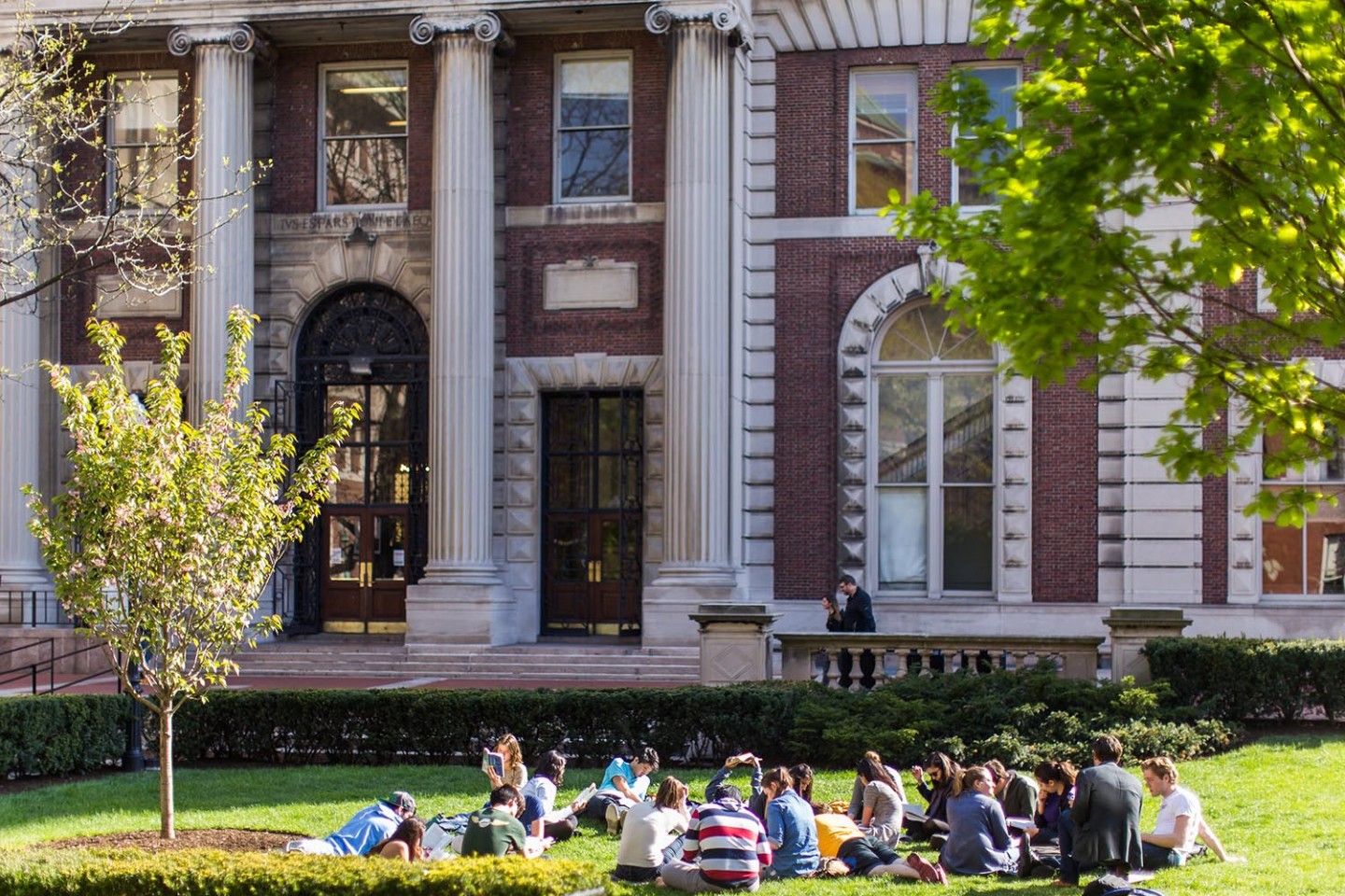 Studying Outside