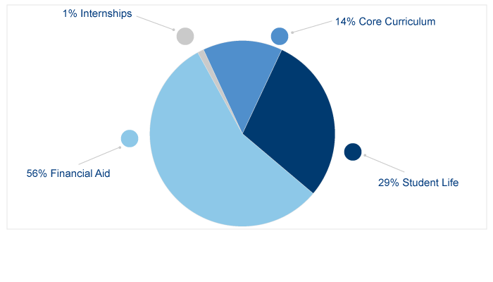 What the fund supports pie chart