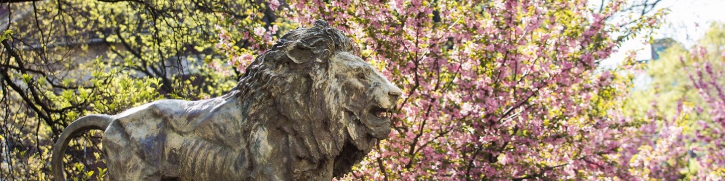 Lion statue