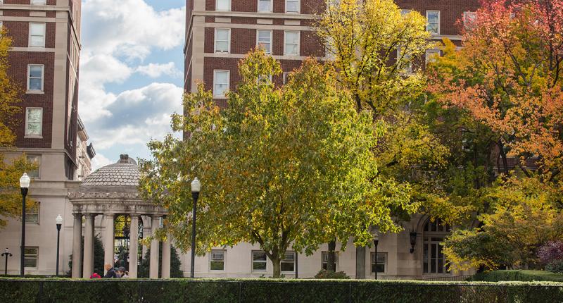 Fall leaves on campus