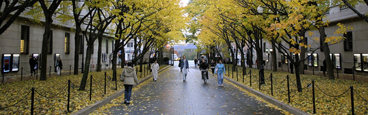 Columbia College Campus: College Walk in Fall with trees