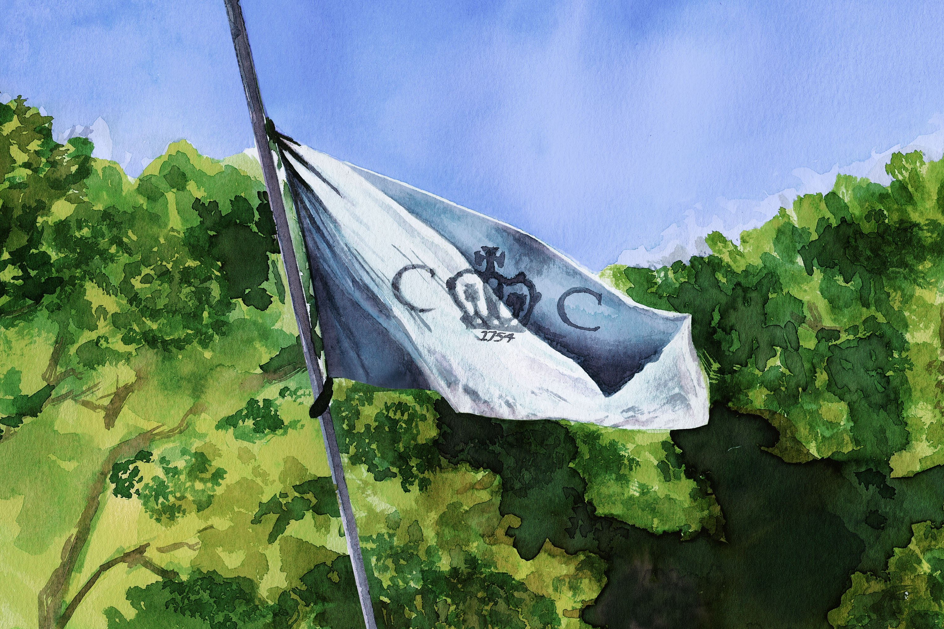 cct_flag