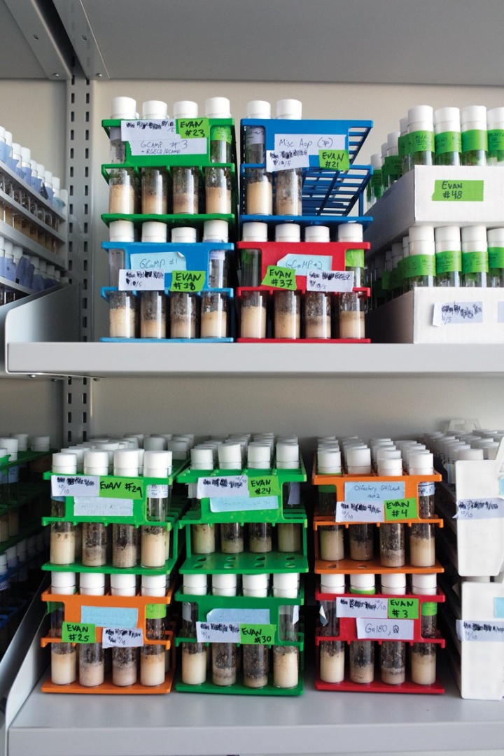 labeled samples in a lab