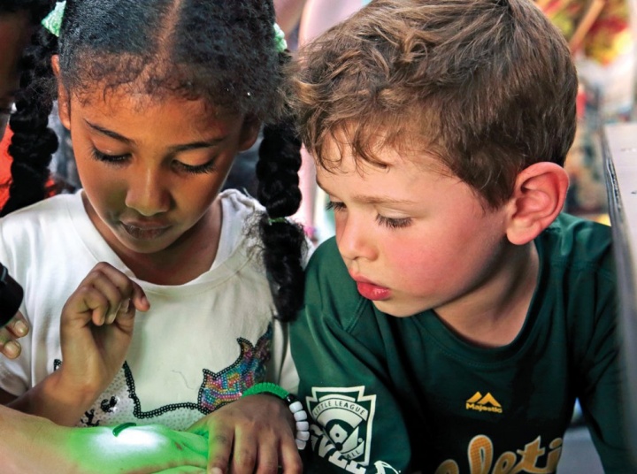 children observing someting