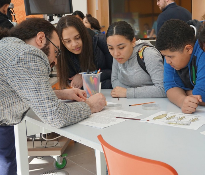 young adults working at a table