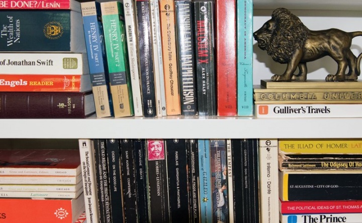 Bookshelves showing the spine of many books