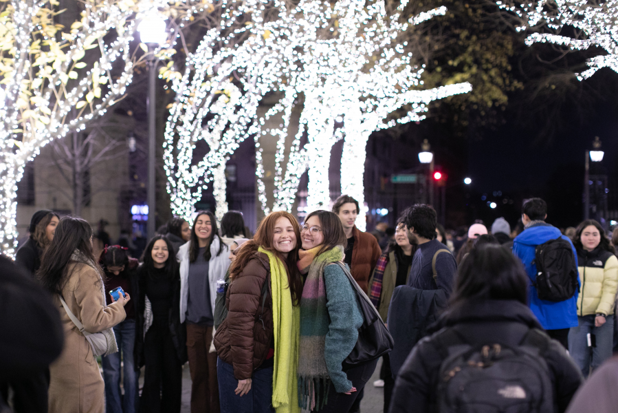 WS.24_AN cover_TreeLighting