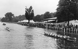 The CU lightweight crew at Henley, 1971