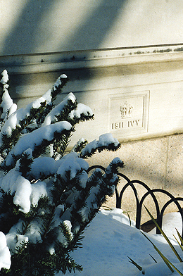 Picture of the Ivy stone