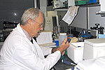 Dr. Paul A. Marks '46 at work in the lab