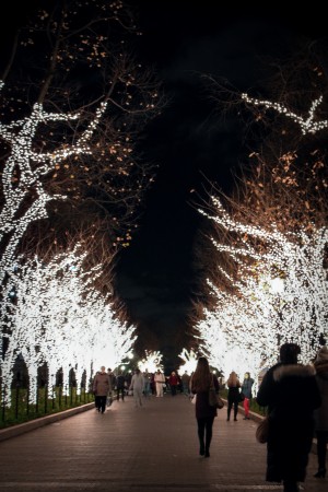 columbia celebrates with annual tree lighting and yule log life university holiday lights