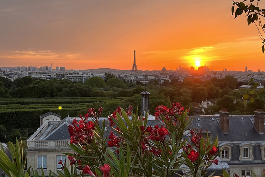 Parisian skyline at dusk, with the Eiffel Tower in the background and a flowering plant in foreground.