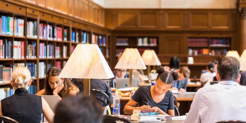 Student study in the library