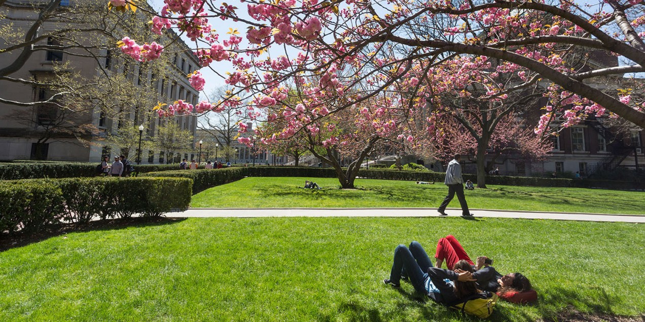 Students under a tree